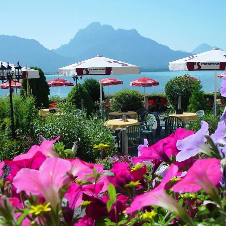 Cafe Maria - - 여관 3*