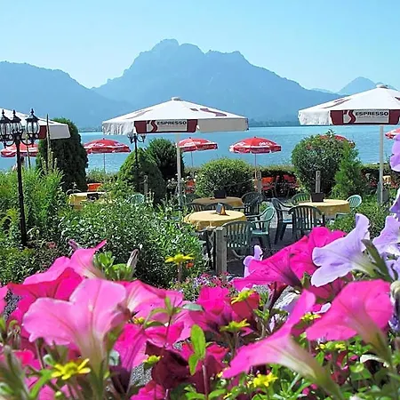Cafe Maria - -