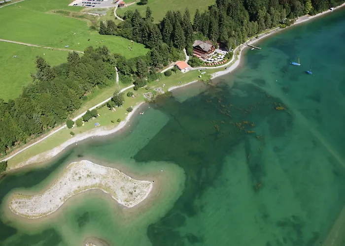 Cafe Maria - - リーデン