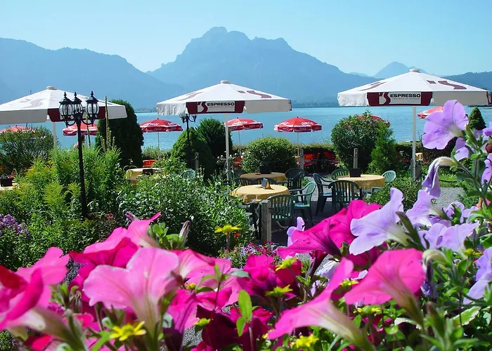 Cafe Maria - - Kro 3*
